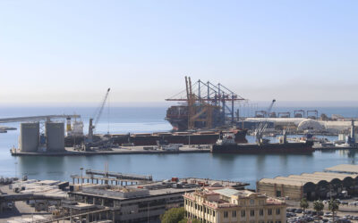 Puerto de Málaga impulsa el control de accesos y el Levante sin Papeles